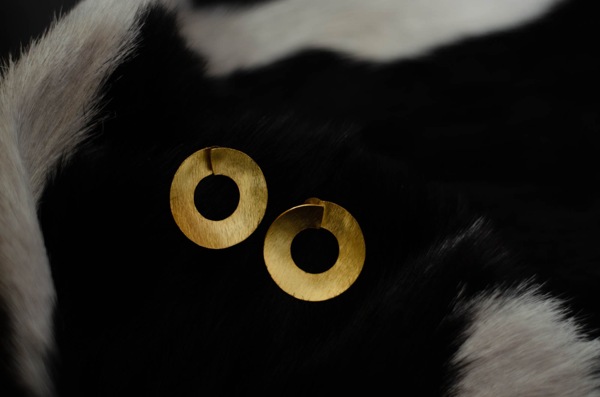 jewelry - berserk - gold plated flat disc earrings